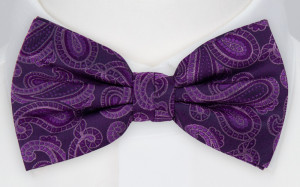 SWINGPJATT PURPLE nœud papillon