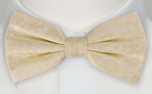 VIGSEL CHAMPAGNE nœud papillon enfant