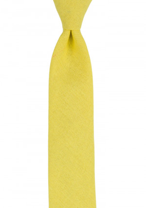 WISTFUL Light yellow cravate slim