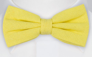 WISTFUL Light yellow nœud papillon