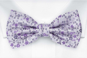 JAIMALA Dusty purple nœud papillon