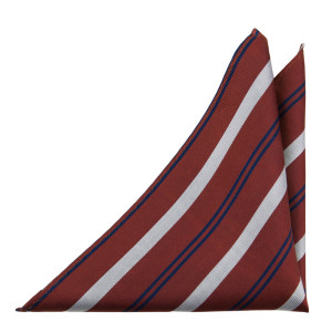 LINEONLINE CINNAMON pochette de costume
