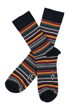 MULTISTRIPE NAVY BLUE chaussettes