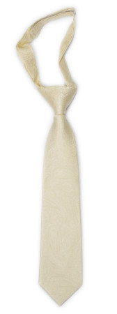ORNATE Champagne petite cravate enfant pré-nouée