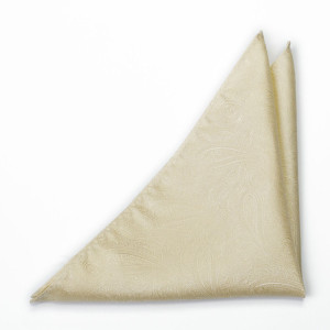ORNATE Champagne pochette de costume