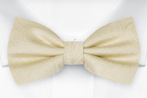 ORNATE Champagne nœud papillon pour enfant