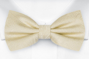 ORNATE Champagne nœud papillon pré-noué