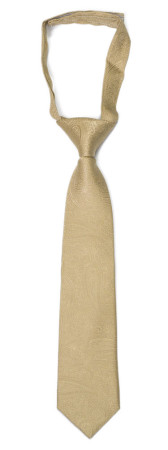 ORNATE Gold petite cravate enfant pré-nouée