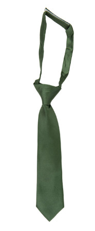 SATIN DARK SAGE petite cravate enfant pré-nouée