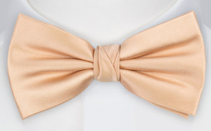 Satin Powder Peach nœud papillon pré-noué