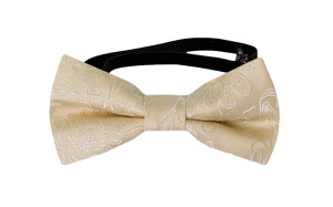 SAVETHEDATE Champagne nœud papillon bébé