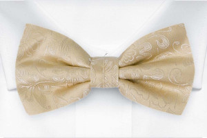 SAVETHEDATE Champagne nœud papillon