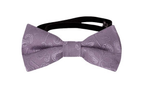 SAVETHEDATE Purple nœud papillon bébé