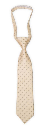 SETTLEDOWN Champagne petite cravate enfant pré-nouée