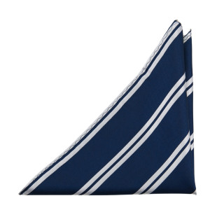 SIMPLYSTRIPED NAVY pochette de costume