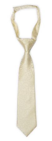 SNAZZY Champagne petite cravate enfant pré-nouée