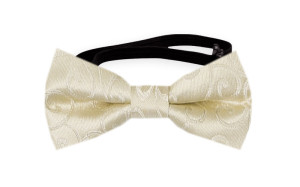 SNAZZY Champagne nœud papillon bébé
