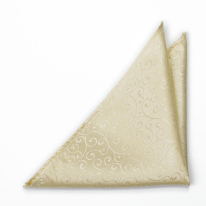 SNAZZY Champagne pochette de costume