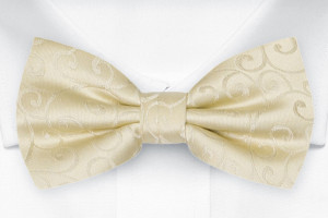 SNAZZY Champagne nœud papillon pré-noué