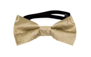 SNAZZY Gold nœud papillon bébé