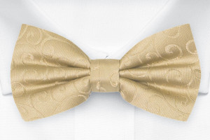 SNAZZY Gold nœud papillon pour enfant