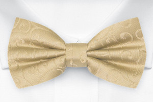 SNAZZY Gold nœud papillon