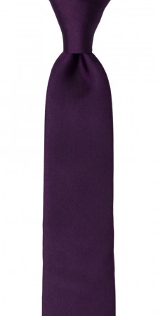 SOLID Dark purple cravate slim