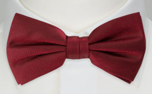 SOLID Dark red nœud papillon pré-noué