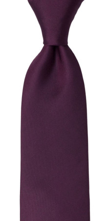 SOLID Eggplant cravate