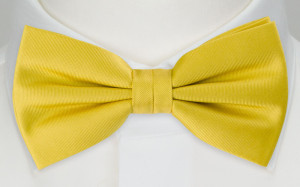 SOLID Lemon nœud papillon pré-noué