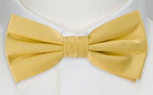 SOLID Light yellow nœud papillon