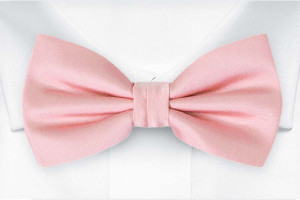 SOLID Pale pink nœud papillon pré-noué