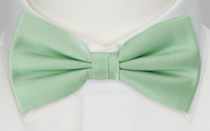 SOLID Pastel green nœud papillon pré-noué