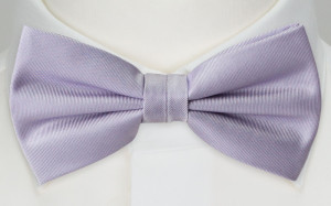 SOLID Powder purple nœud papillon