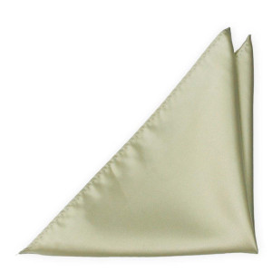SOLID Sage green pochette de costume