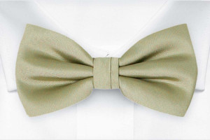 SOLID Sage green nœud papillon