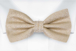 SPLICED Wheat beige nœud papillon pré-noué
