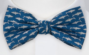 STAYSHARK BLUE nœud papillon pré-noué