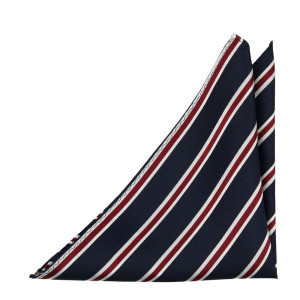 STORM pochette de costume