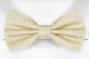 SWANKY Champagne nœud papillon pour enfant