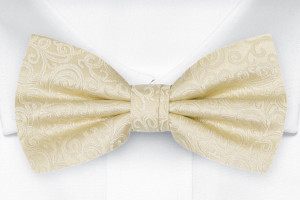 SWANKY Champagne nœud papillon pré-noué