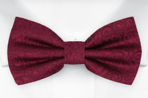 SWANKY Dark red nœud papillon pour enfant