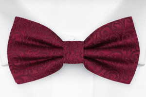 SWANKY Dark red nœud papillon pré-noué