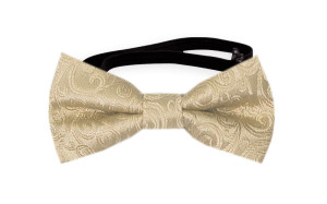SWANKY Gold nœud papillon bébé