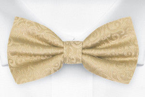 SWANKY Gold nœud papillon pour enfant