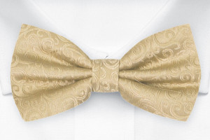 SWANKY Gold nœud papillon pré-noué