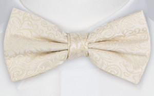 SWANKY IVORY nœud papillon pré-noué
