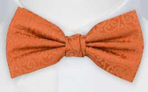 SWANKY ORANGE nœud papillon pré-noué