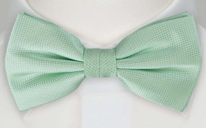 TARNA MINT nœud papillon
