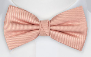 Twillie Blush Pink nœud papillon pré-noué